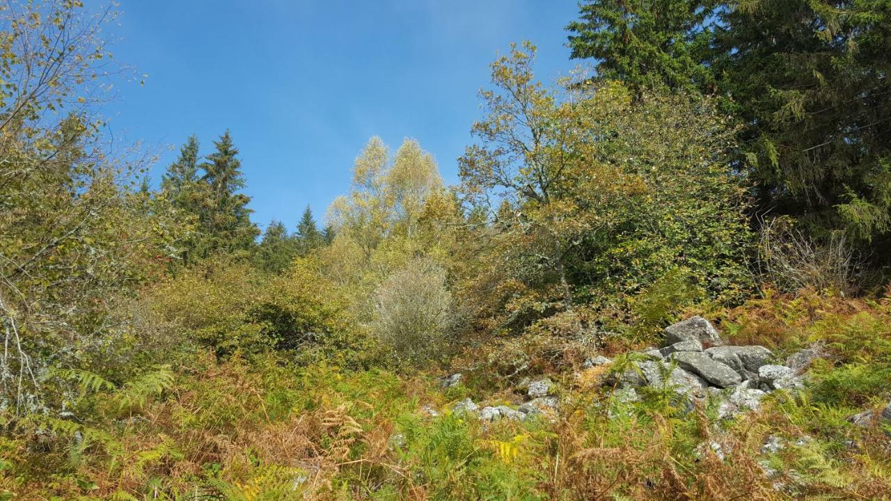 Gite De Sauviat 25 Chemin Du Grand Pacher Le Bourg De Sauviat 63120 Exterior photo